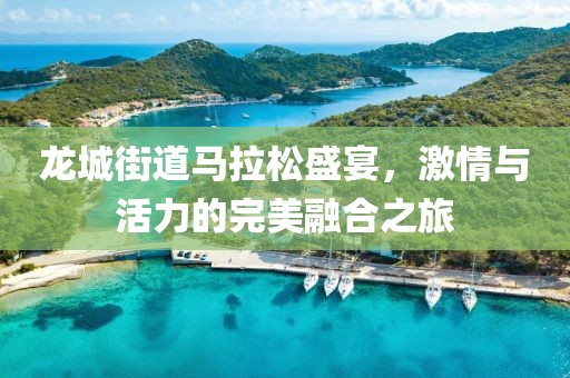 龙城街道马拉松盛宴，激情与活力的完美融合之旅