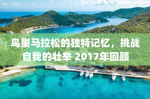 鸟巢马拉松的独特记忆，挑战自我的壮举 2017年回顾