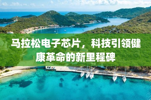 马拉松电子芯片，科技引领健康革命的新里程碑