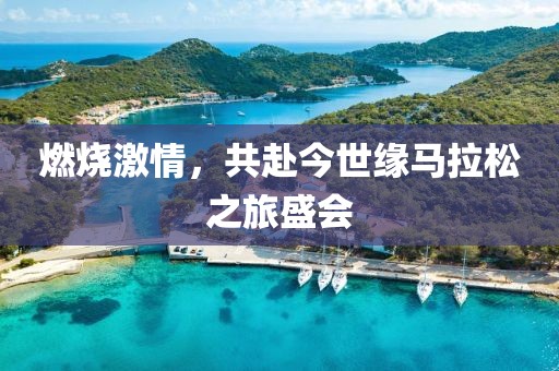 燃烧激情，共赴今世缘马拉松之旅盛会