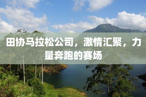田协马拉松公司，激情汇聚，力量奔跑的赛场