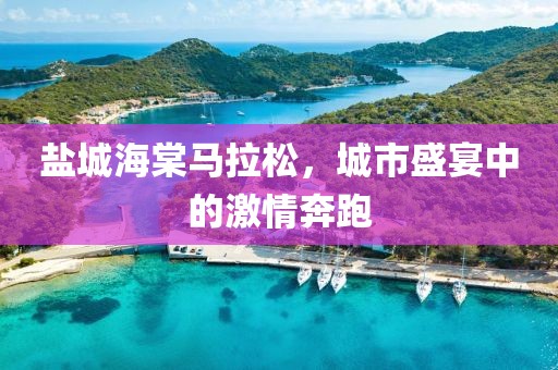 盐城海棠马拉松，城市盛宴中的激情奔跑
