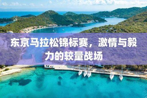 东京马拉松锦标赛，激情与毅力的较量战场