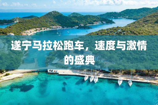 遂宁马拉松跑车，速度与激情的盛典