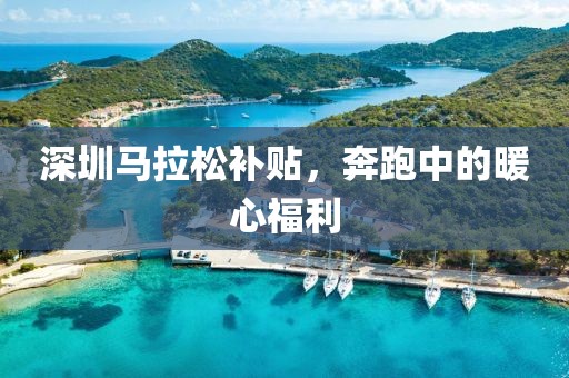深圳马拉松补贴，奔跑中的暖心福利
