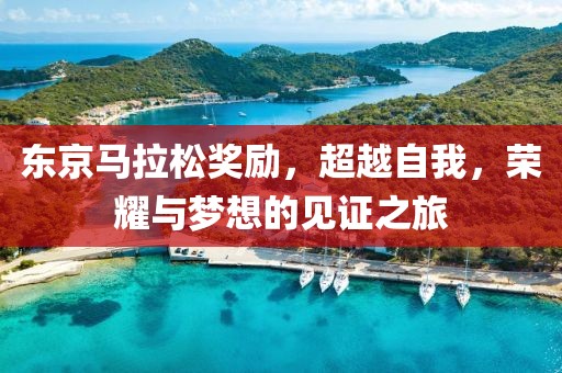 东京马拉松奖励，超越自我，荣耀与梦想的见证之旅