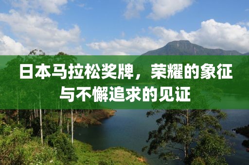 日本马拉松奖牌，荣耀的象征与不懈追求的见证