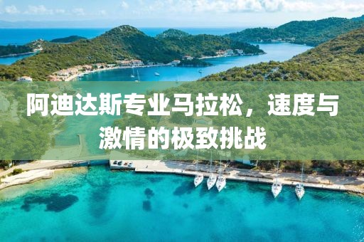 阿迪达斯专业马拉松，速度与激情的极致挑战