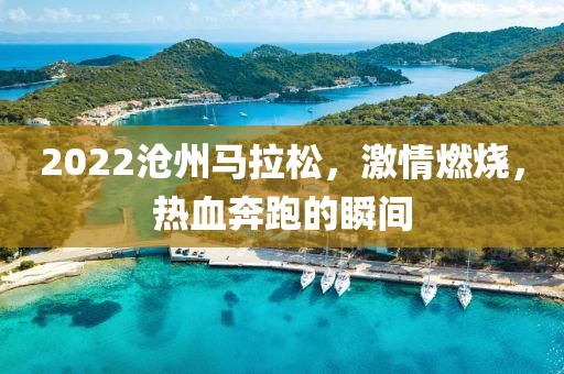 2022沧州马拉松，激情燃烧，热血奔跑的瞬间