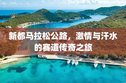 新都马拉松公路，激情与汗水的赛道传奇之旅
