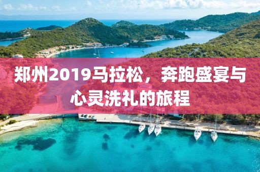 郑州2019马拉松，奔跑盛宴与心灵洗礼的旅程