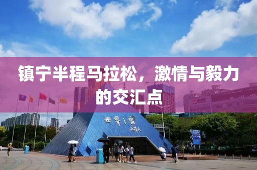 镇宁半程马拉松，激情与毅力的交汇点