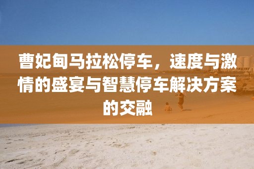曹妃甸马拉松停车，速度与激情的盛宴与智慧停车解决方案的交融