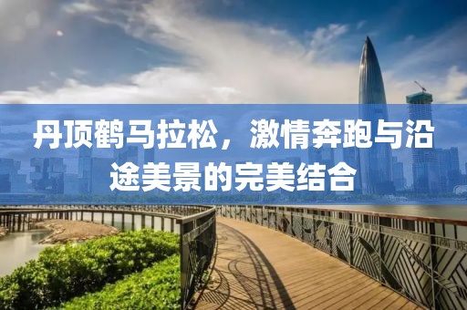 丹顶鹤马拉松，激情奔跑与沿途美景的完美结合