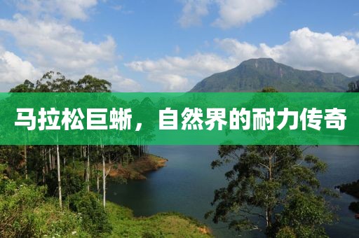 马拉松巨蜥，自然界的耐力传奇