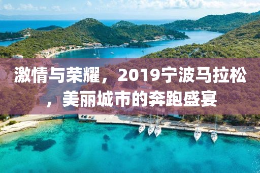 激情与荣耀，2019宁波马拉松，美丽城市的奔跑盛宴