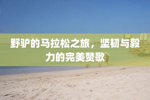 野驴的马拉松之旅，坚韧与毅力的完美赞歌