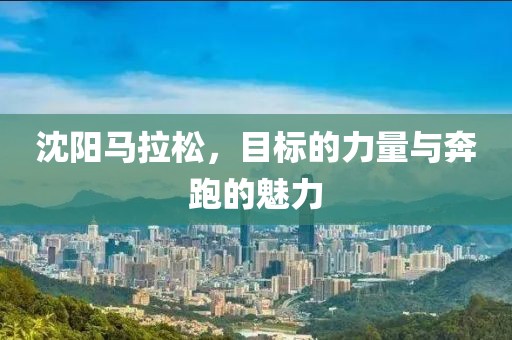 沈阳马拉松，目标的力量与奔跑的魅力