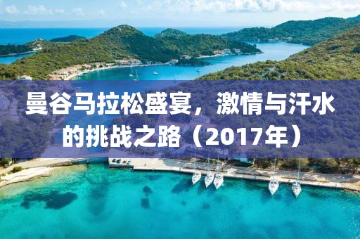 曼谷马拉松盛宴，激情与汗水的挑战之路（2017年）