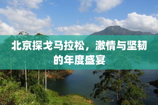 北京探戈马拉松，激情与坚韧的年度盛宴
