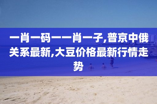 一肖一码一一肖一子,普京中俄关系最新,大豆价格最新行情走势
