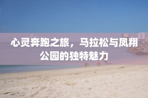 心灵奔跑之旅，马拉松与凤翔公园的独特魅力
