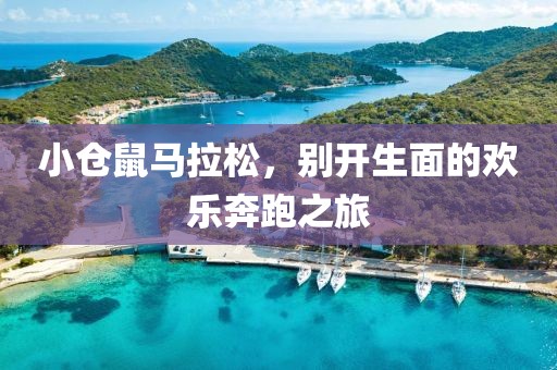 小仓鼠马拉松，别开生面的欢乐奔跑之旅
