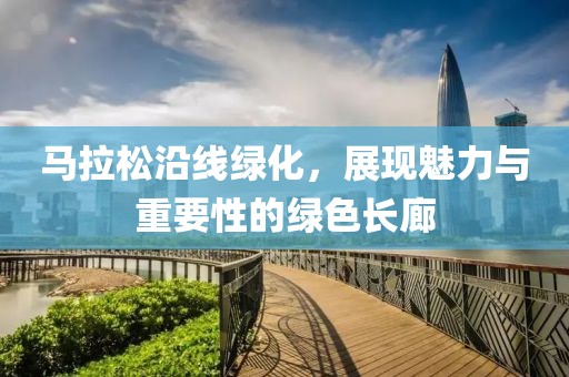 马拉松沿线绿化，展现魅力与重要性的绿色长廊
