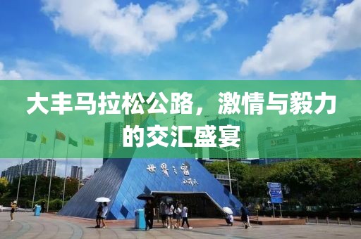 大丰马拉松公路，激情与毅力的交汇盛宴