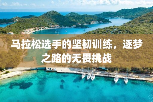 马拉松选手的坚韧训练，逐梦之路的无畏挑战