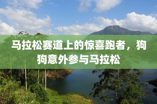 马拉松赛道上的惊喜跑者，狗狗意外参与马拉松