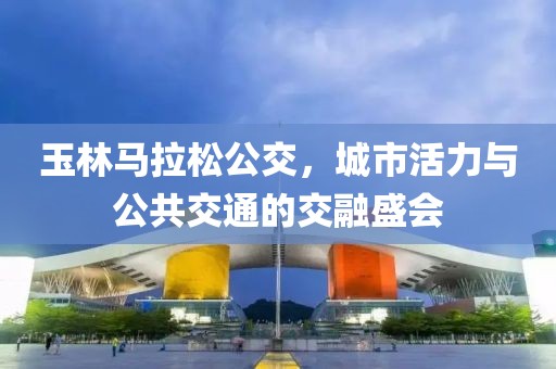 玉林马拉松公交，城市活力与公共交通的交融盛会