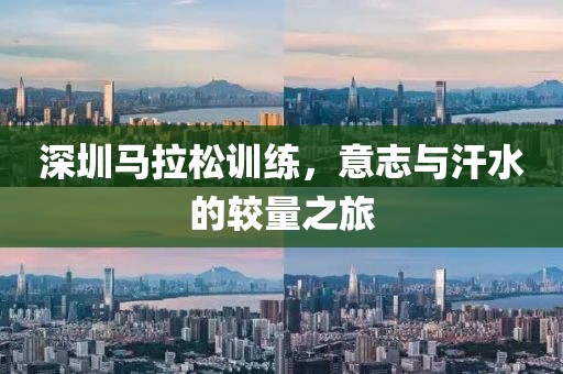 深圳马拉松训练，意志与汗水的较量之旅