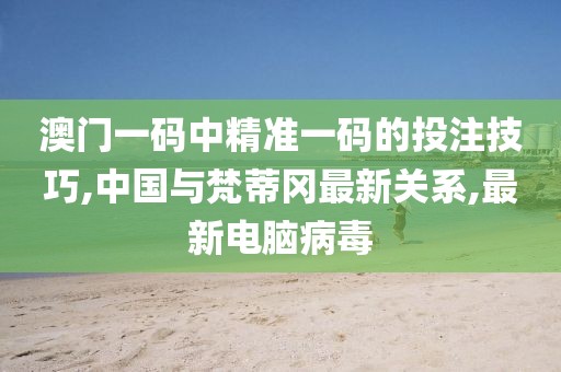 澳门一码中精准一码的投注技巧,中国与梵蒂冈最新关系,最新电脑病毒