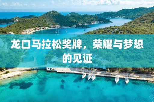 龙口马拉松奖牌，荣耀与梦想的见证
