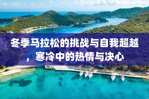 冬季马拉松的挑战与自我超越，寒冷中的热情与决心