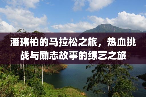 潘玮柏的马拉松之旅，热血挑战与励志故事的综艺之旅