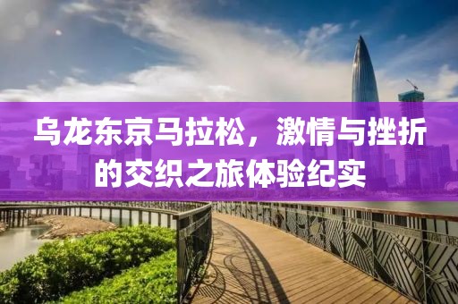 乌龙东京马拉松，激情与挫折的交织之旅体验纪实