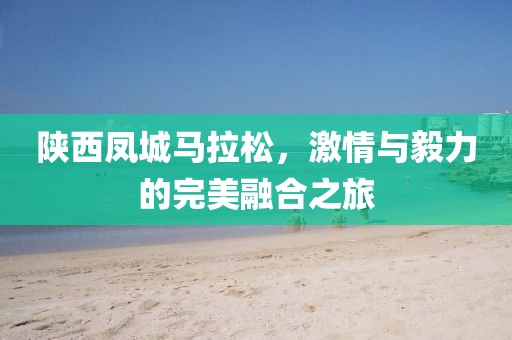 陕西凤城马拉松，激情与毅力的完美融合之旅