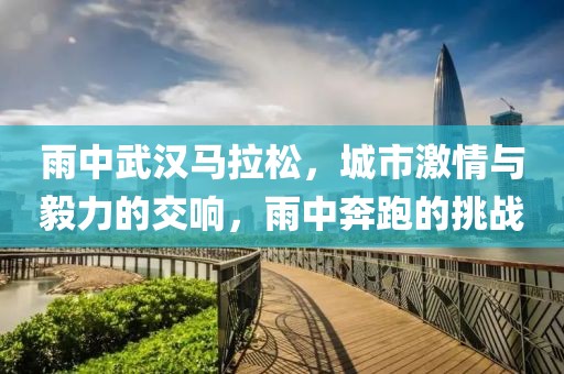 雨中武汉马拉松，城市激情与毅力的交响，雨中奔跑的挑战
