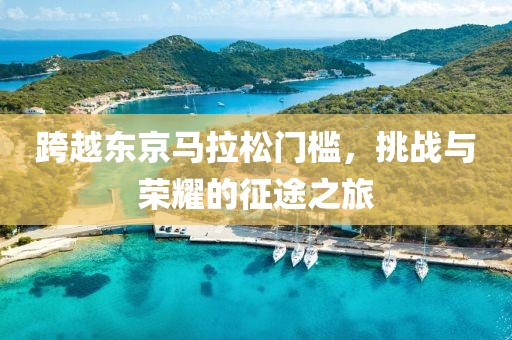 跨越东京马拉松门槛，挑战与荣耀的征途之旅