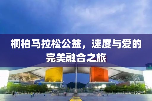 桐柏马拉松公益，速度与爱的完美融合之旅