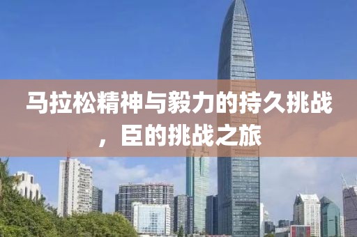 马拉松精神与毅力的持久挑战，臣的挑战之旅