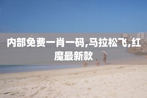 内部免费一肖一码,马拉松飞,红魔最新款