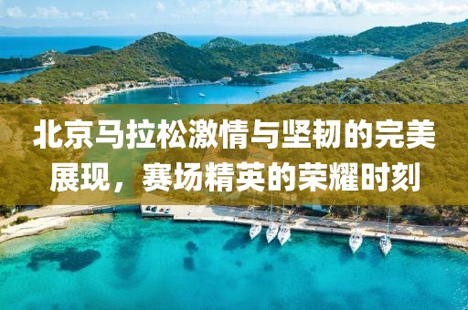 北京马拉松激情与坚韧的完美展现，赛场精英的荣耀时刻
