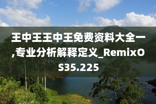王中王王中王免费资料大全一,专业分析解释定义_RemixOS35.225