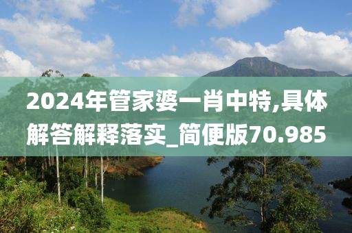 2024年管家婆一肖中特,具体解答解释落实_简便版70.985