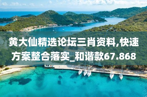 黄大仙精选论坛三肖资料,快速方案整合落实_和谐款67.868