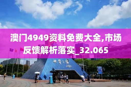 澳门4949资料免费大全,市场反馈解析落实_32.065