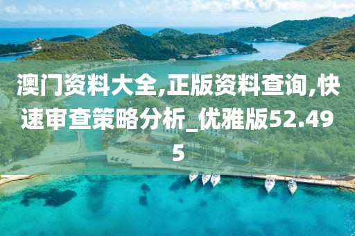 澳门资料大全,正版资料查询,快速审查策略分析_优雅版52.495